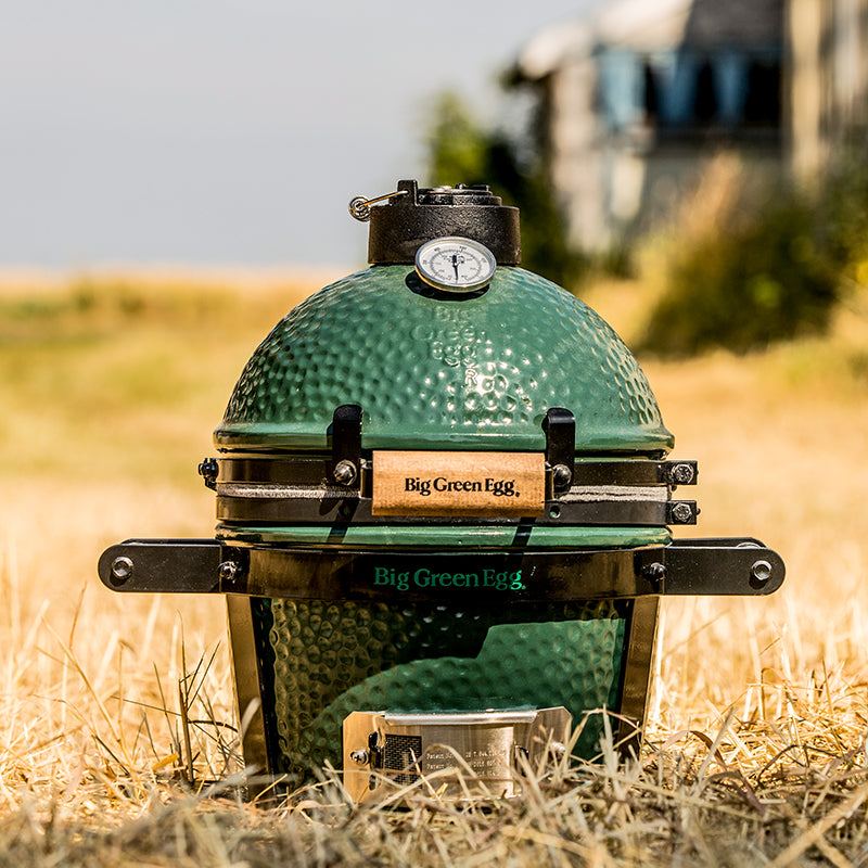 Kamado Mini Big Green Egg Brasero France